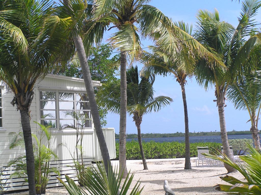Parmer'S Resort Little Torch Key Kültér fotó